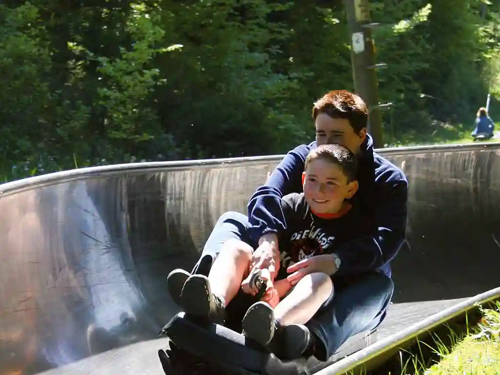 Sommerrodelbahn – Bild 3