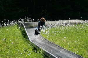 Sommerrodelbahn – Bild 6