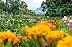 Parc Chauvet-Lullin – Bild 1