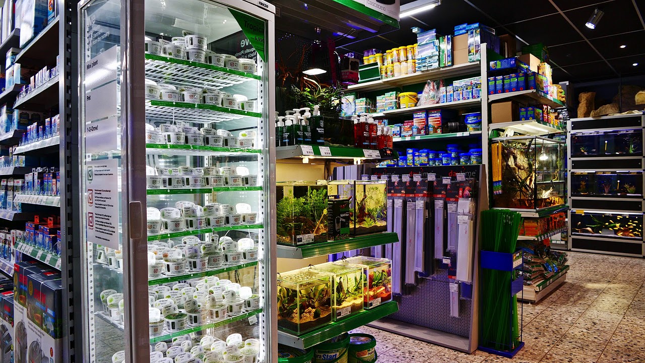 Aquado-Zoo – Bild 4