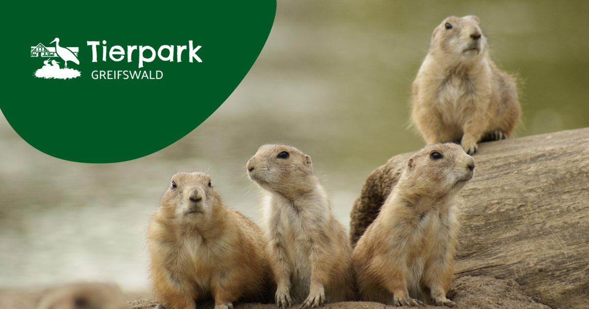 Tierpark Greifswald gGmbH – Bild 3