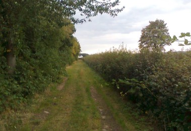 Westpark Pulheim – Bild 5