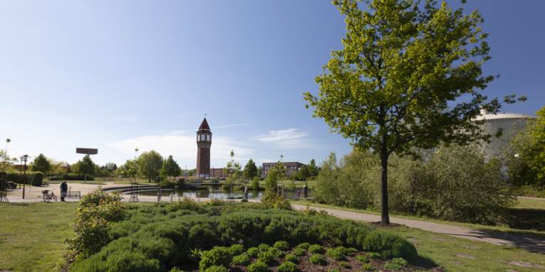 Hohnhorstpark – Bild 2