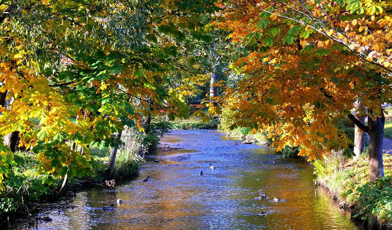 Stadtpark Zwiesel – Bild 3