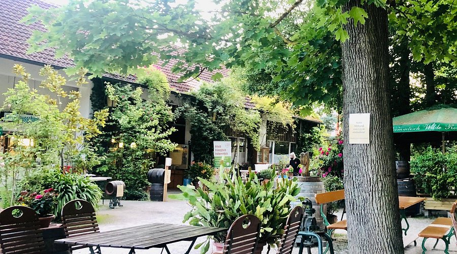 Wilde-Rose-Keller – Bild 1