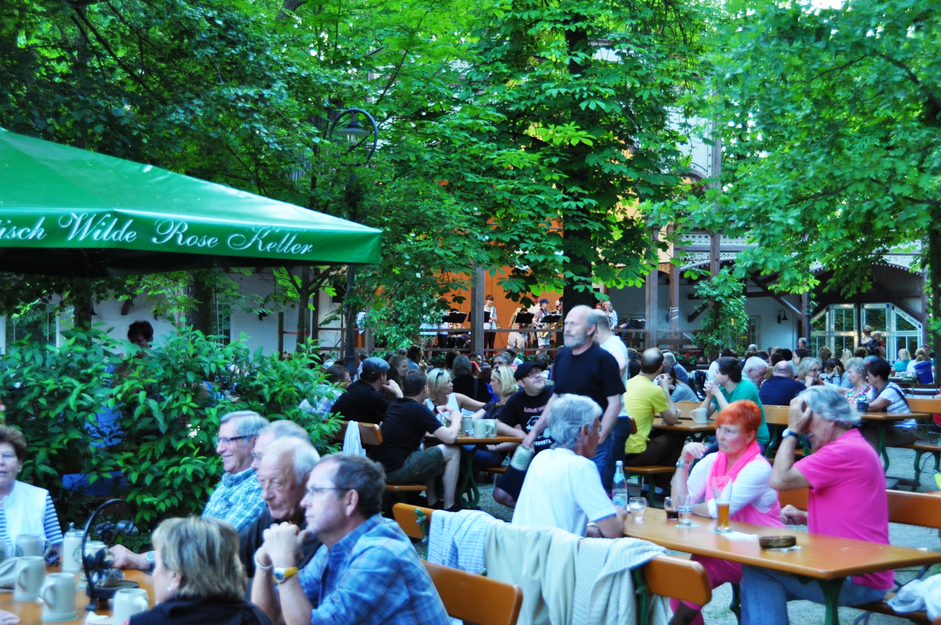 Wilde-Rose-Keller – Bild 3