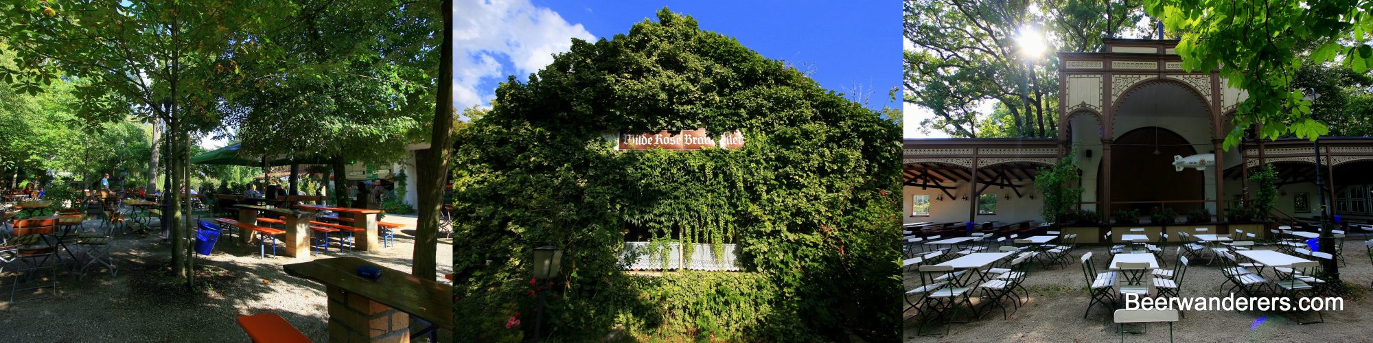 Wilde-Rose-Keller – Bild 5