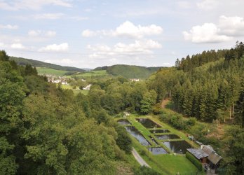 Dorfplatz Himmelmert – Bild 2