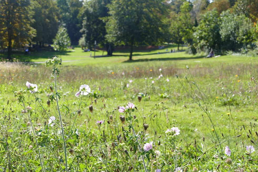 Badmattenpark – Bild 4