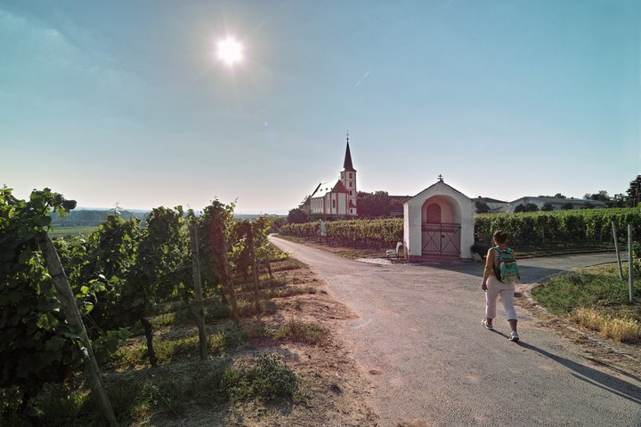 Rüdesheim, Parkplatz P2 - "An der Ringmauer/Seilbahn" – Bild 5