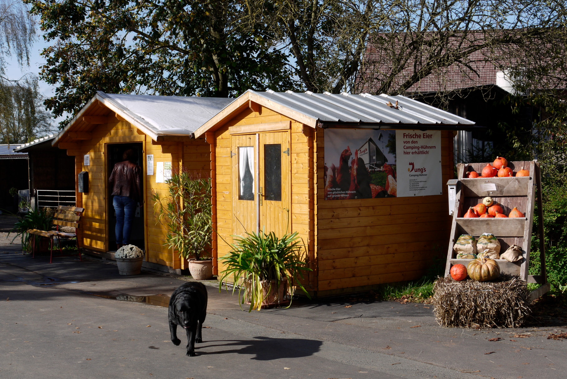 Jung’s Campinghühner - Verkaufsautomat – Bild 2