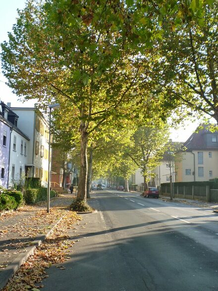 Tempelsee Park – Bild 3