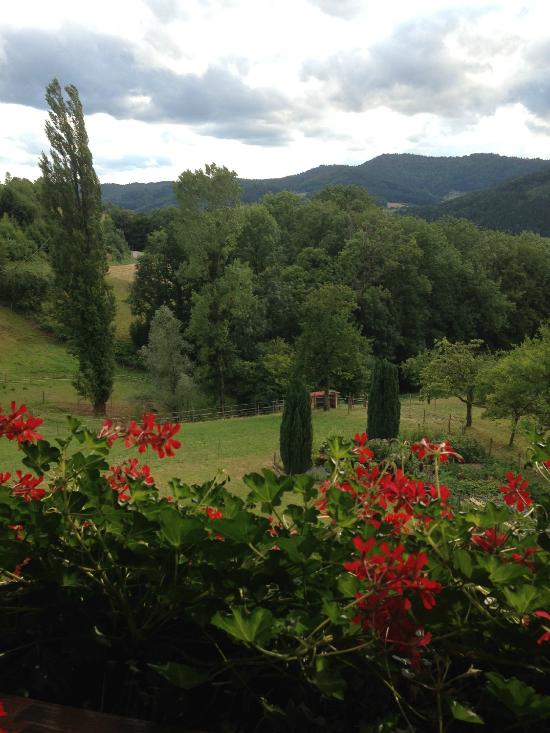 Ferienhof Erdrich - Christian Erdrich – Bild 5