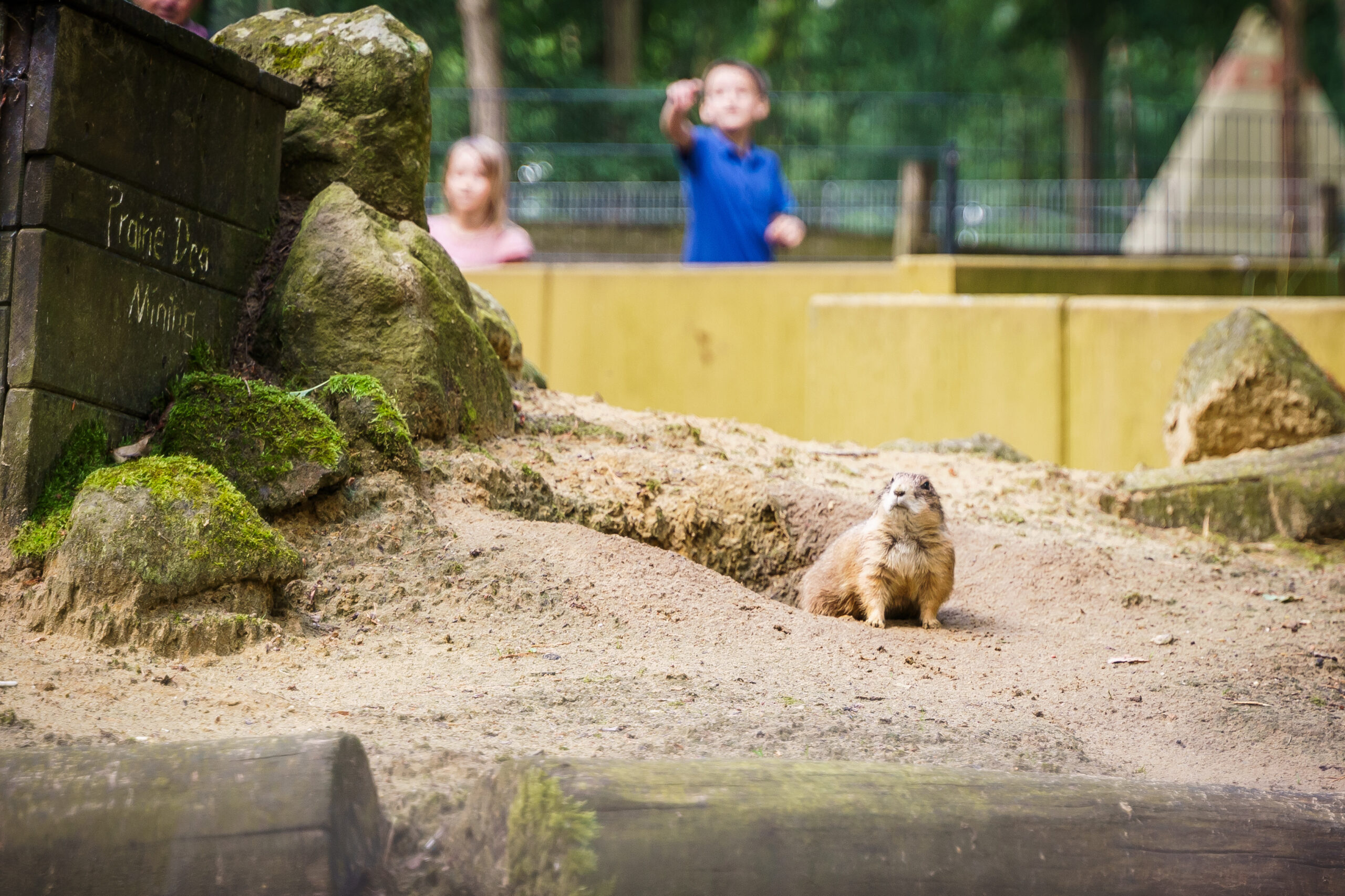 Wildpark Frankenhof – Bild 3