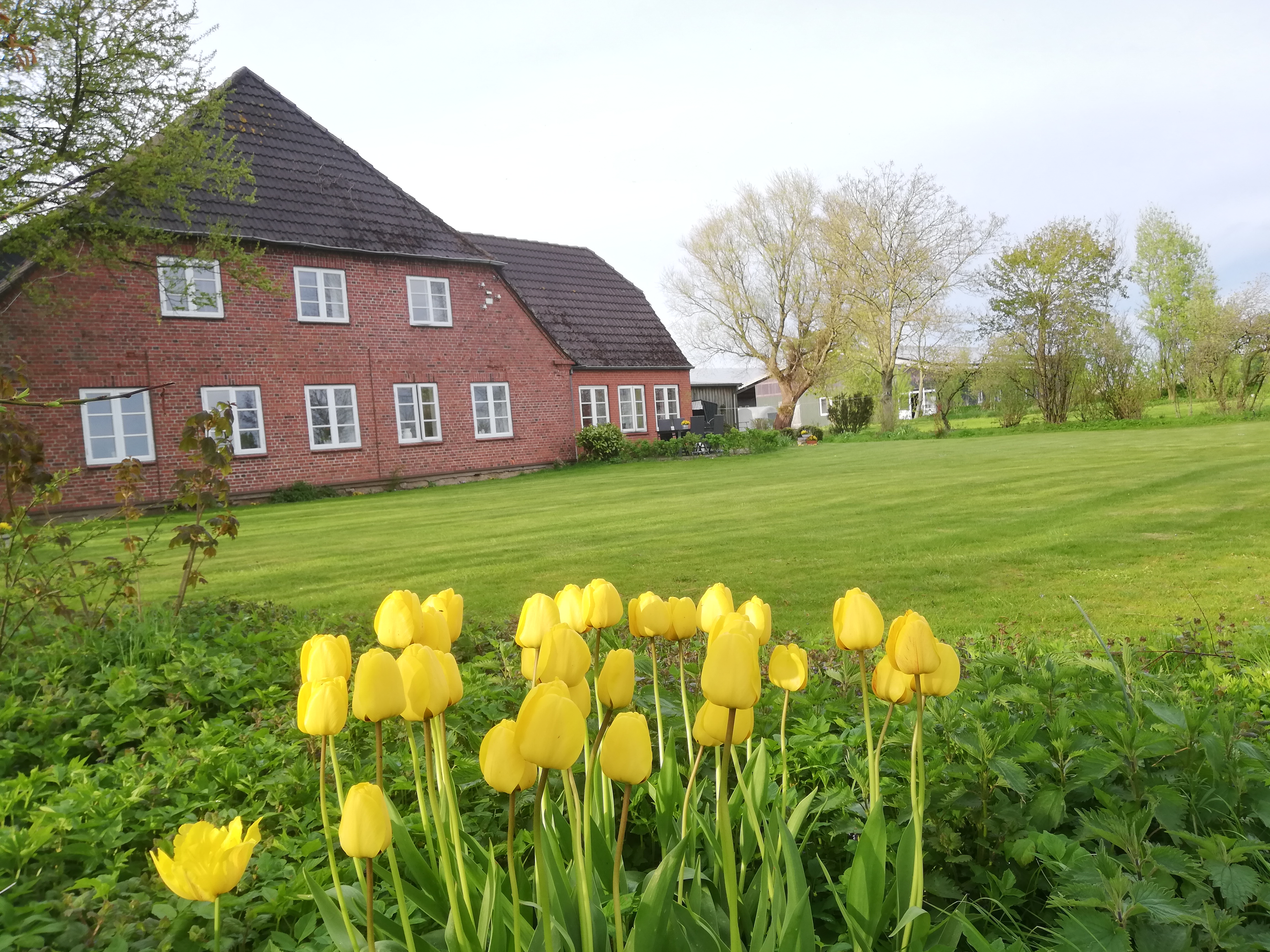 Ferienhof Gertz – Bild 2