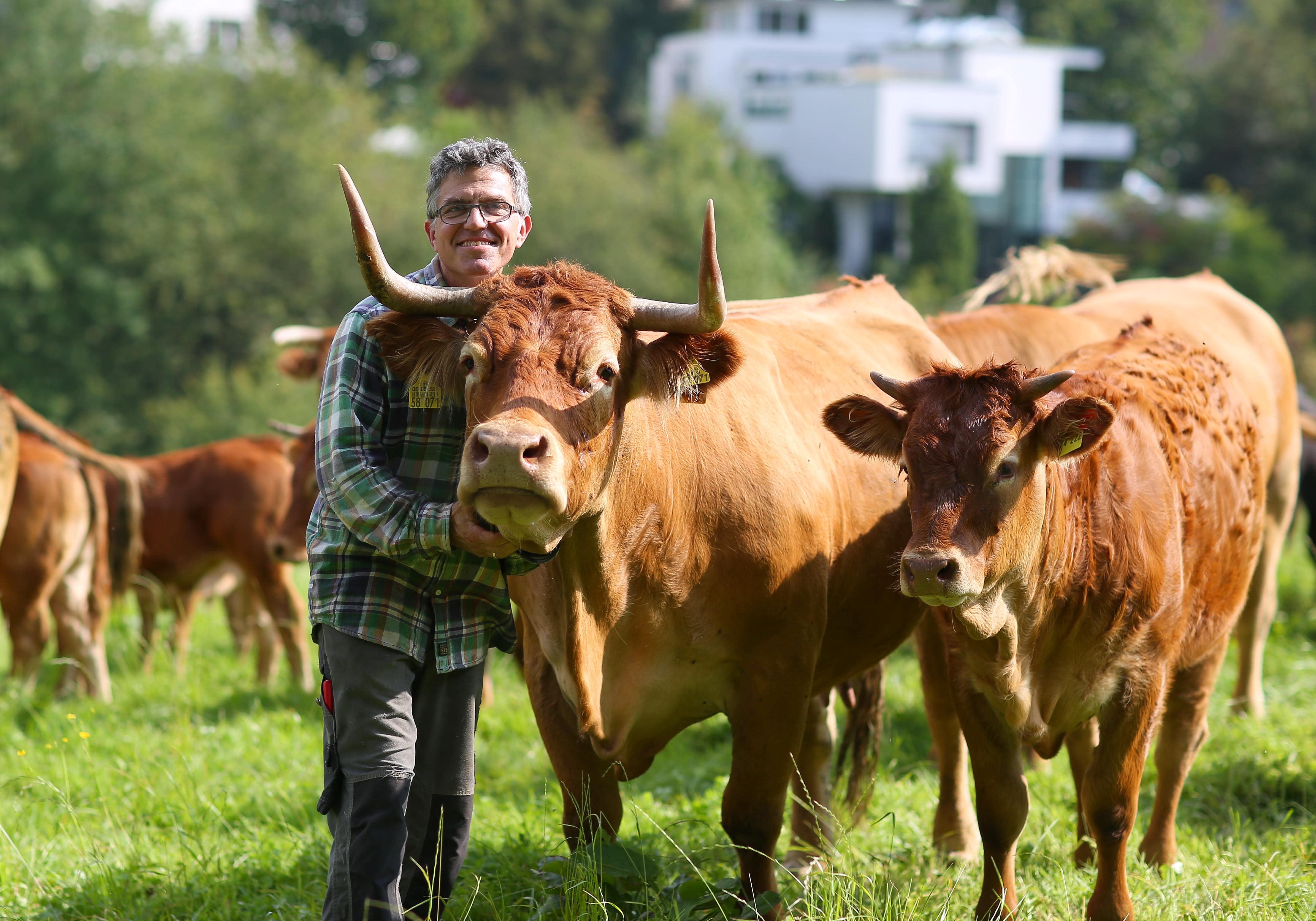 Gut Hasselholz | Hofladen – Bild 6