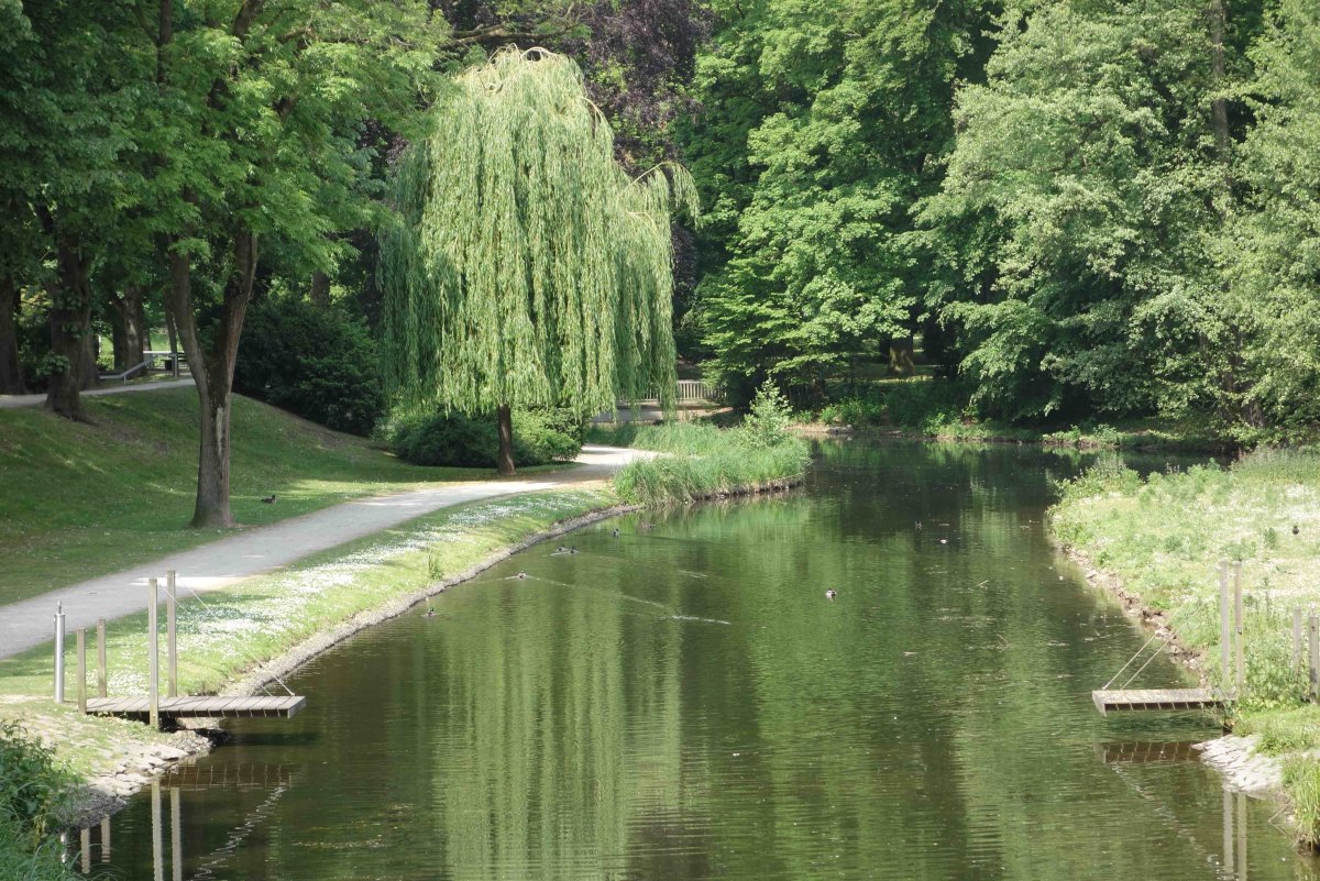 Stadtpark Moers – Bild 6