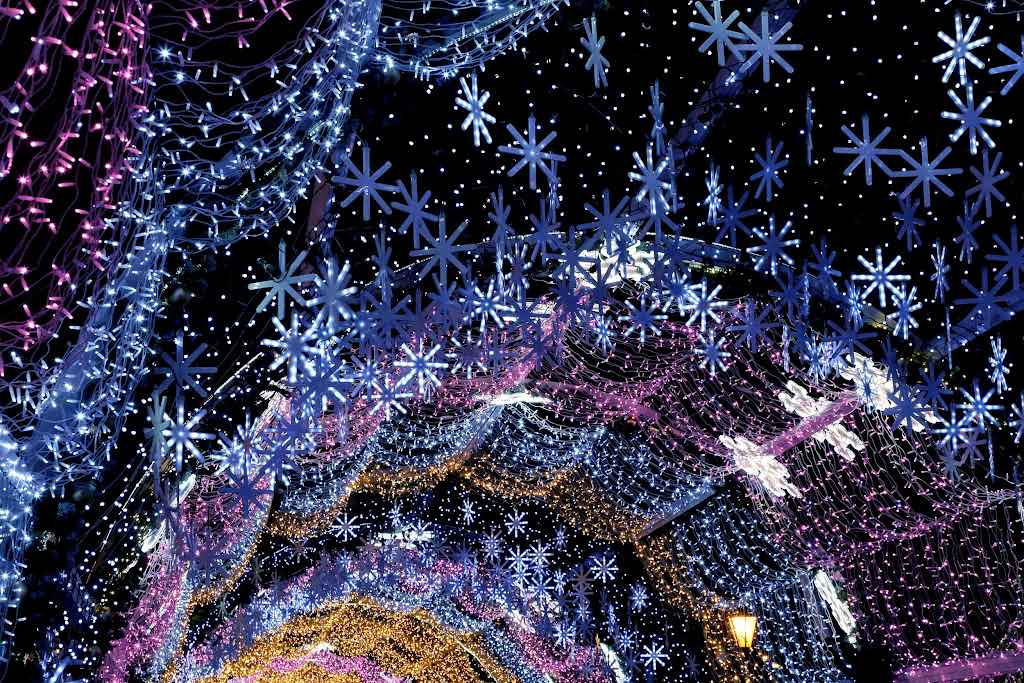 Happy Wonderland – Bild 4