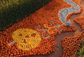 Taves Farms – Bild 1