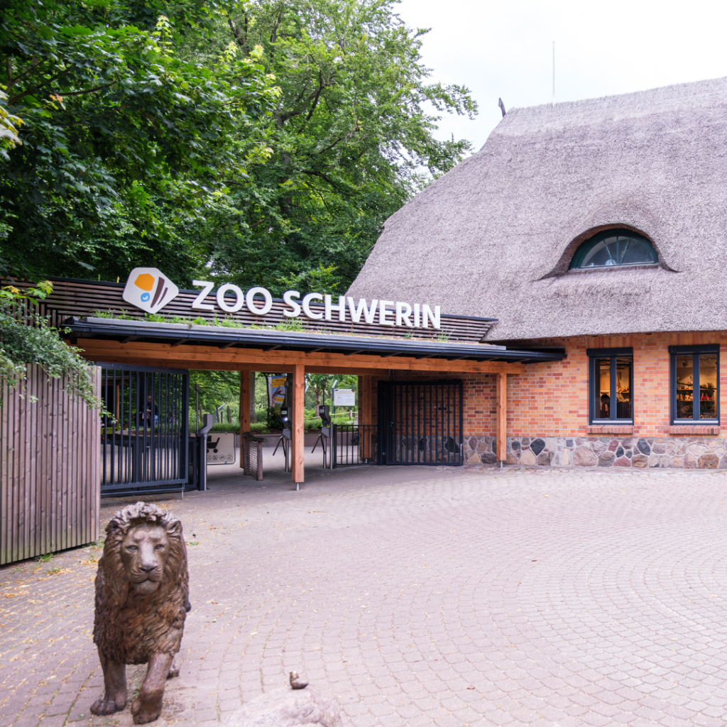 Zoologischer Garten Schwerin – Bild 2