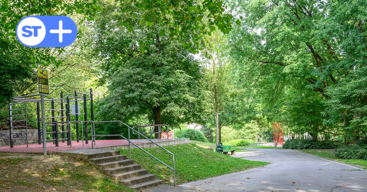 Maltesergrund – Bild 4