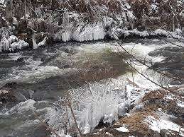 Larch Park – Bild 5