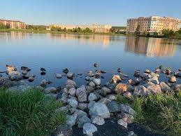 Larch Park – Bild 6