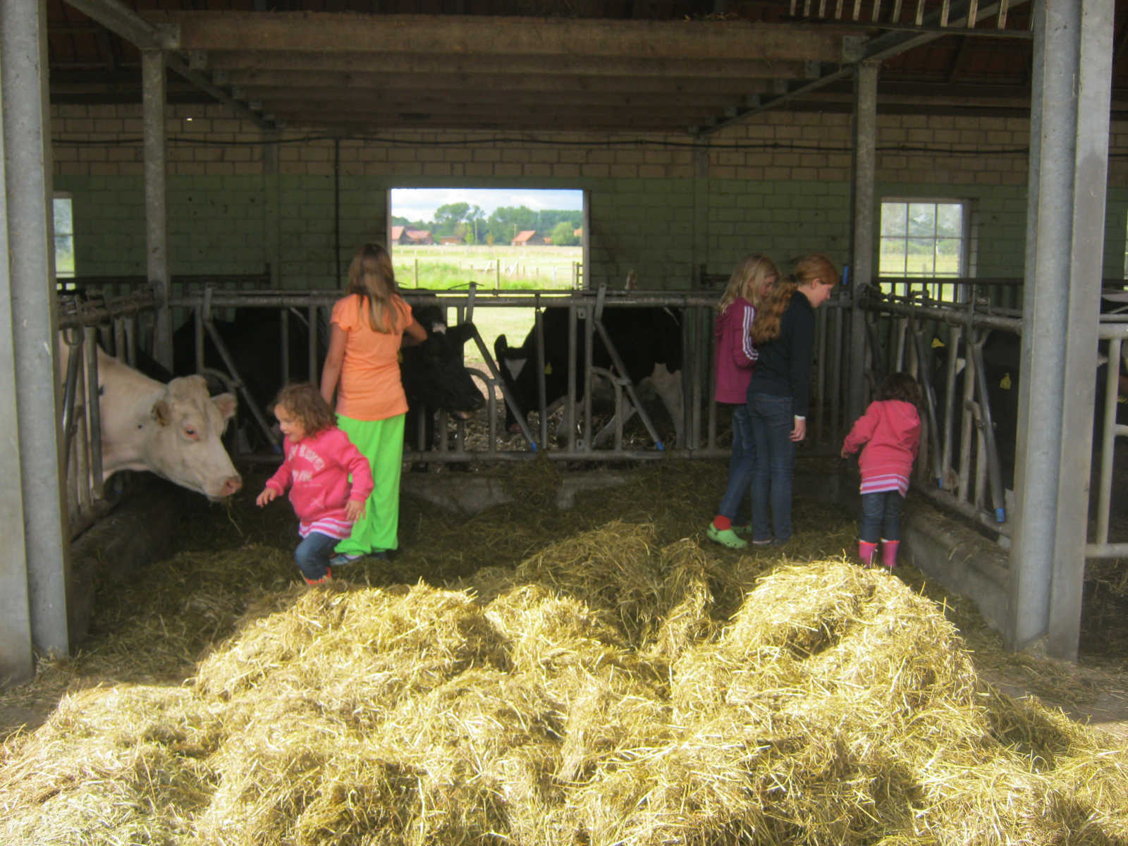 Heuhotel Davert Karnickelhof - Maria Egger – Bild 1