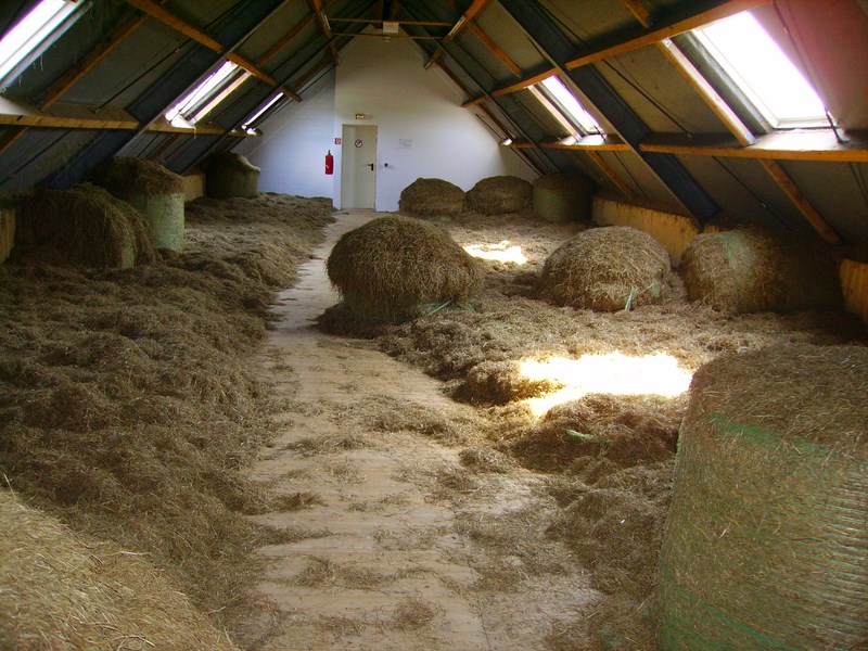 Heuhotel Davert Karnickelhof - Maria Egger – Bild 3