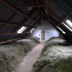 Heuhotel Davert Karnickelhof - Maria Egger – Bild 5