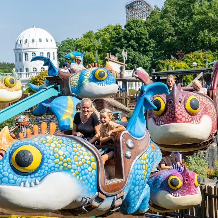 Drachenzähmen – Die Insel – Bild 2