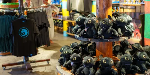 Drachenzähmen – Die Insel – Bild 5