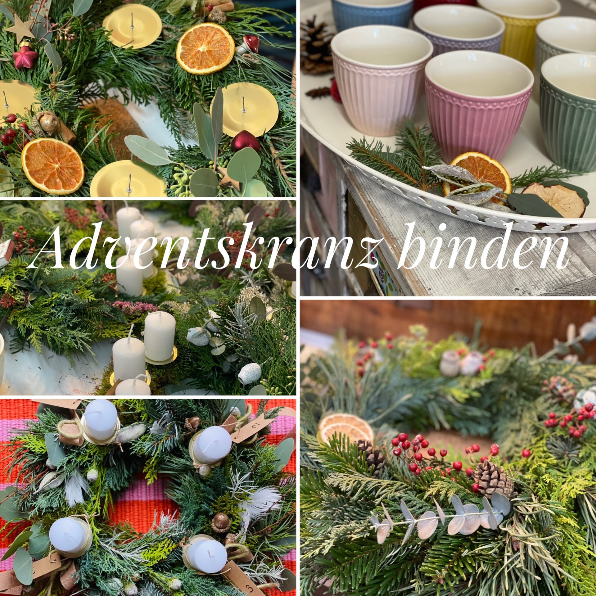 kleinesRehkitz – Bild 4