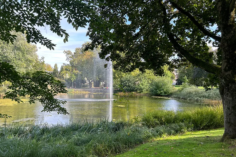 Stadtgarten – Bild 5