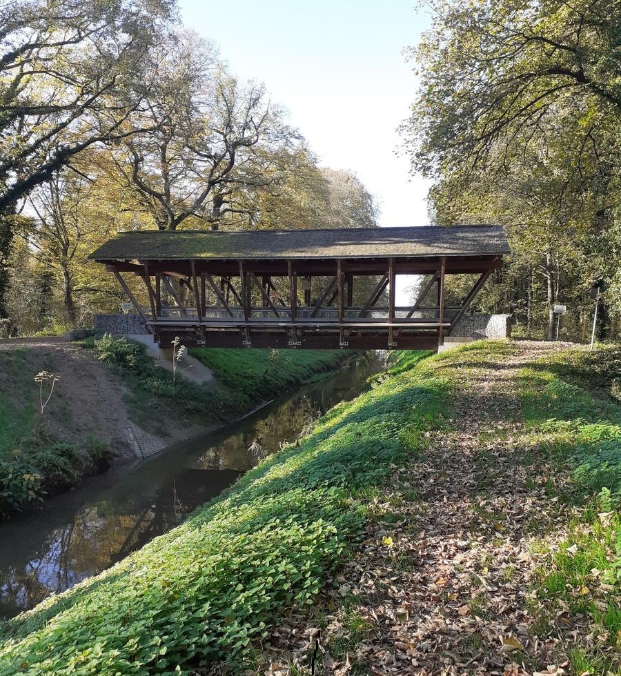 Abenteuer am Leimbach - Erlebnispädagogik - Kindergeburtstage und Bogenschießen für Kinder – Bild 4