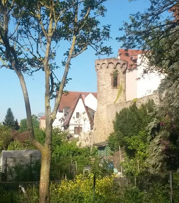 Abenteuer am Leimbach - Erlebnispädagogik - Kindergeburtstage und Bogenschießen für Kinder – Bild 5