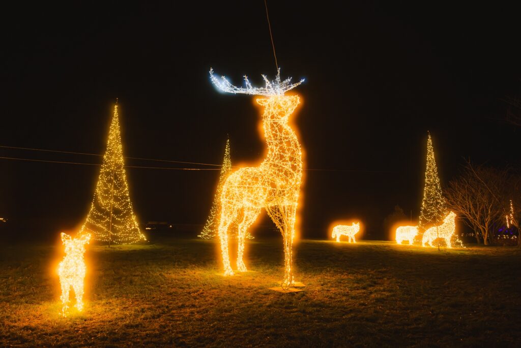 Riesenrutschenturm – Bild 3