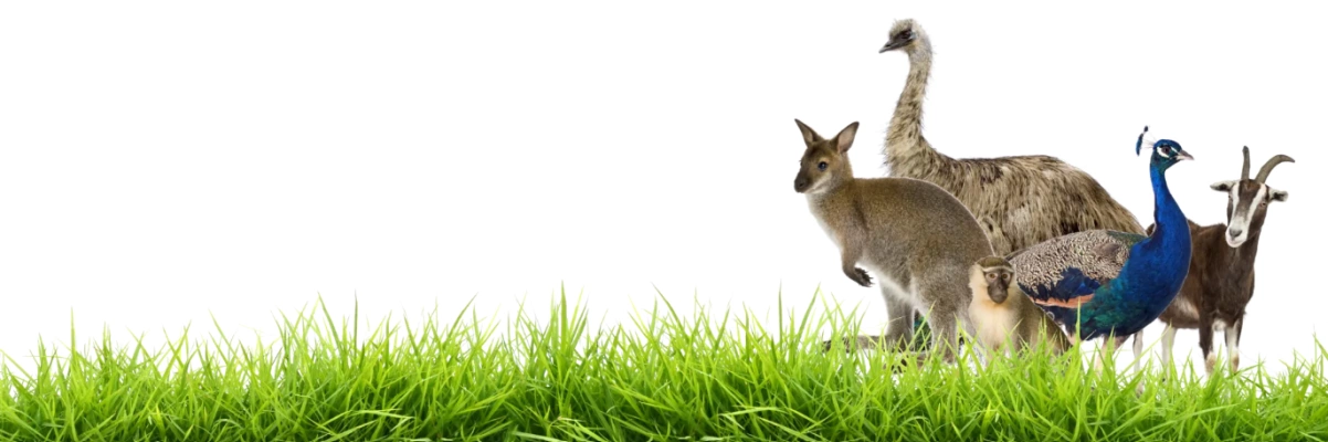 Birgits Tiergarten GbR – Bild 5