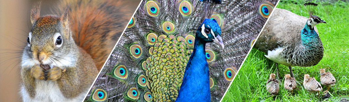 Birgits Tiergarten GbR – Bild 6