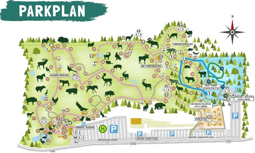 Wildpark Niendorf – Bild 2