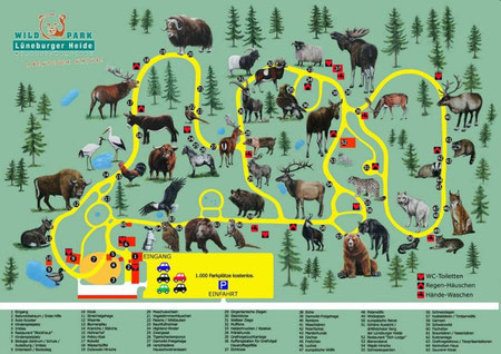 Wildpark Niendorf – Bild 6