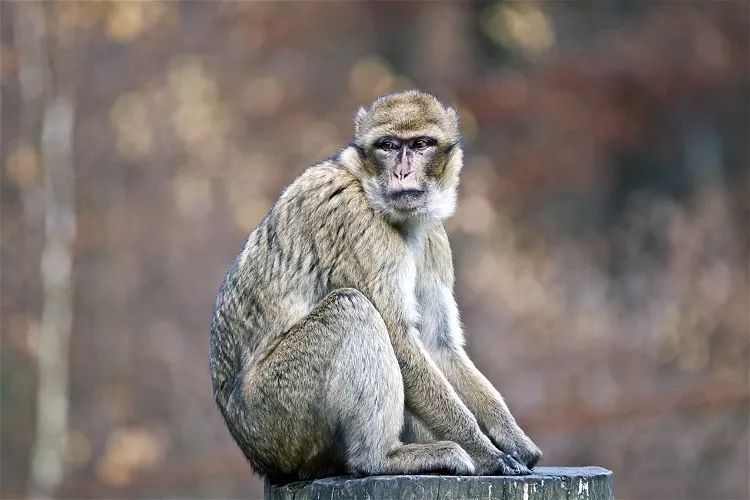 Tierpark Gera – Bild 2