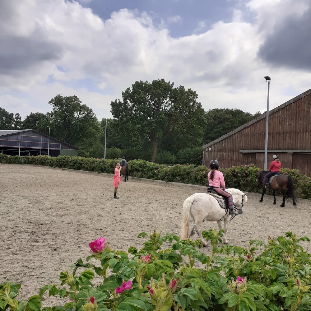 miniranch Norderstedt – Bild 3