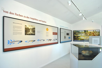 GeoFoyer Kalkturm Korbach – Bild 6