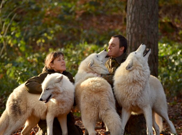 Wolfspark Werner Freund – Bild 5