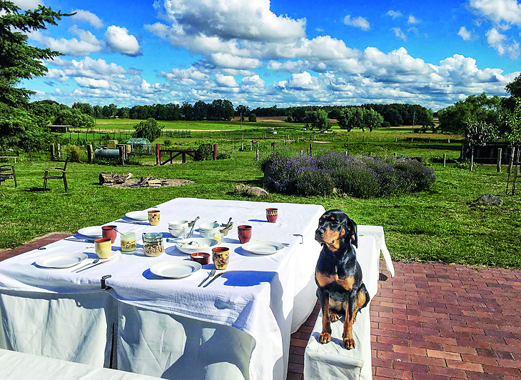 Ferienwohnungen Zum Faulen Hund – Bild 3