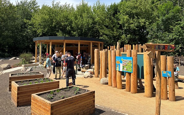 Grünes Klassenzimmer e.V. – Bild 4