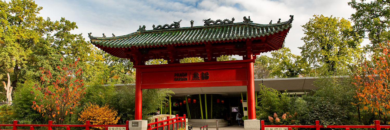 Pandagarten – Bild 2