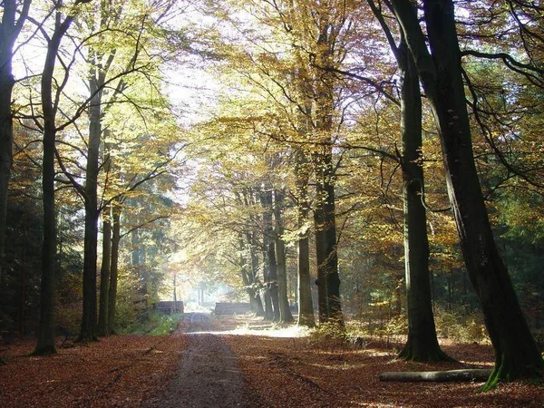 Naturschutzhof Wittmunder Wald e.V. – Bild 5