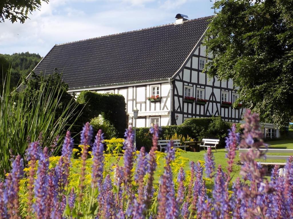 Ferienhof Bieke – Bild 3